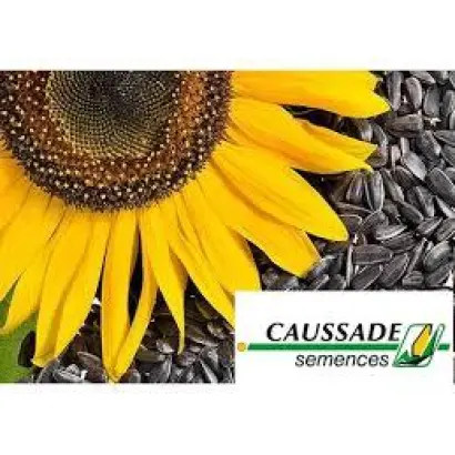 Europa CLP / Європа КЛП