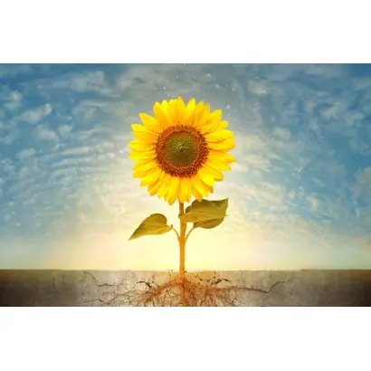 LG 5670М / ЛГ 5670М