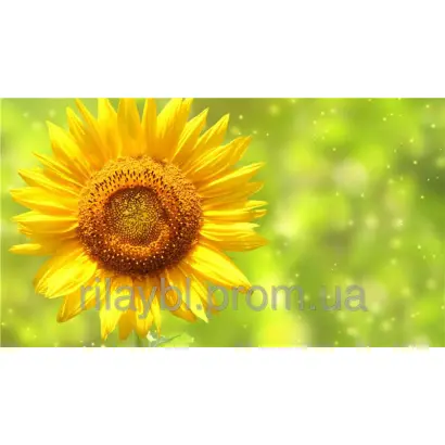 LG5451HO CL / ЛГ5451ХО КЛ