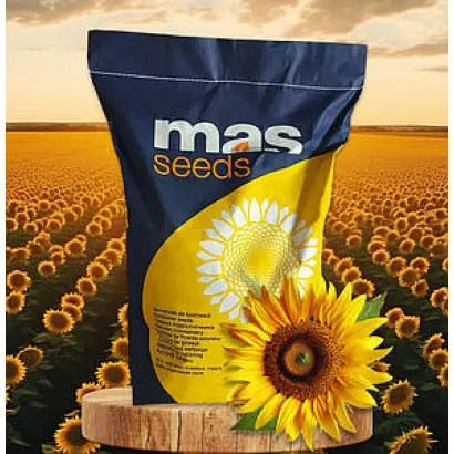 MAS 82A / МАС 82А