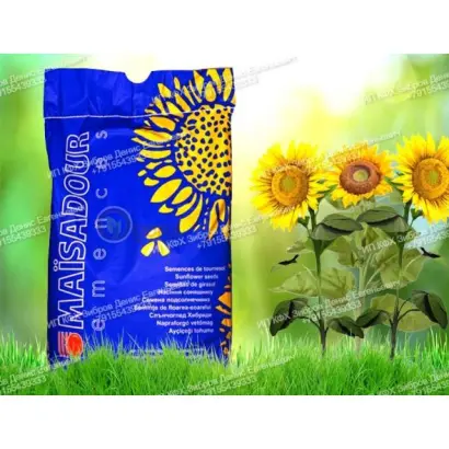 МAS 84E / МАС 84Е