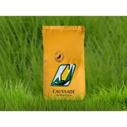 Monrovia CS / Монровія КС