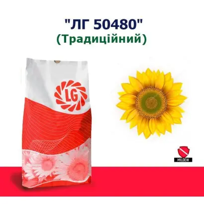 Одесский 504 (Сонячный ) / Одеський 504