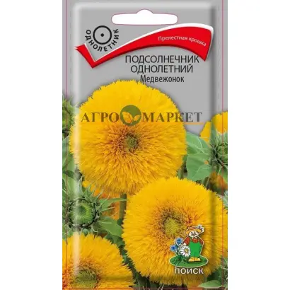 Olmedo / Ольмедо