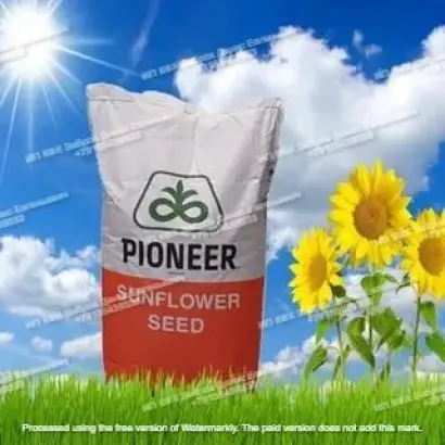 PR63A86 / ПР63А86