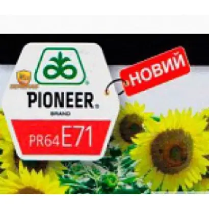 PR64E71 / ПР64Е71