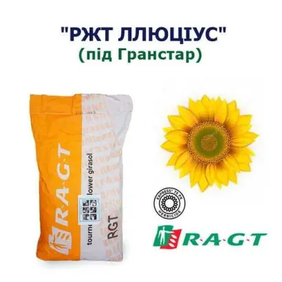 RGT AMILLTON / РЖТ АМІЛЛЬТОН