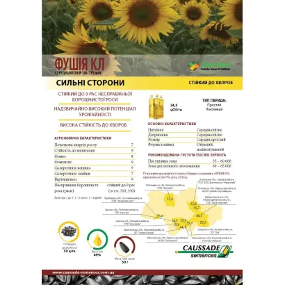 Fushia CL / Фушія КЛ