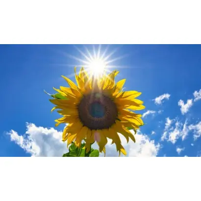 Харьковскый 7 / Харківський 7