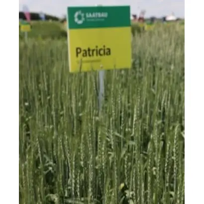 Patricia / Патріція