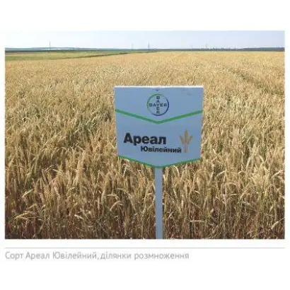 Ареал ювілейний