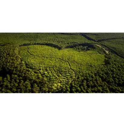 ARCACHON / АРКАКХОН