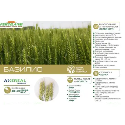 Basilio / Базіліо