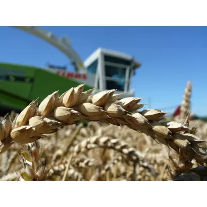 Bonanza / Бонанза