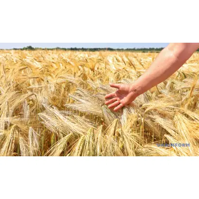 Вірність одеська