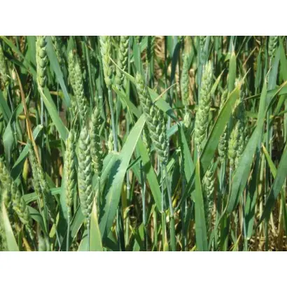 Донецкая 48 / Донецька 48