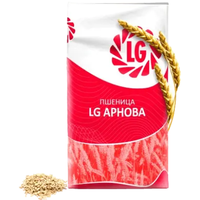 LG Arnova / ЛГ Арнова