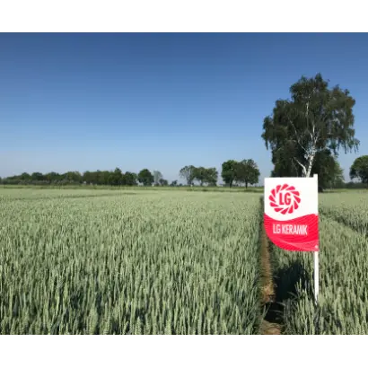 LG Strimac / ЛГ Стрімак