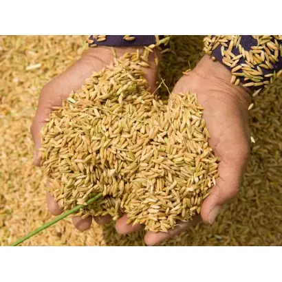 Мальованка