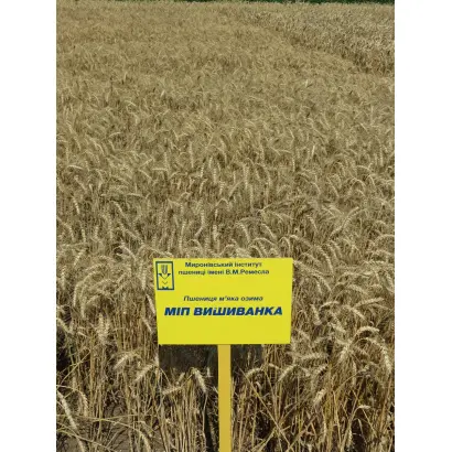 МІП Відзнака