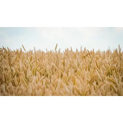 Національна