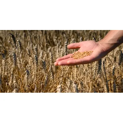 Ormesson / Ормессон