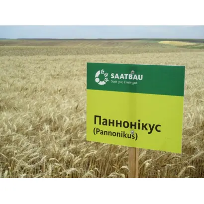 Pannonikus / Паннонікус