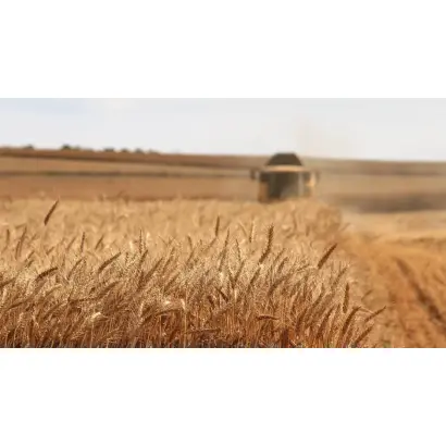 Переяславка