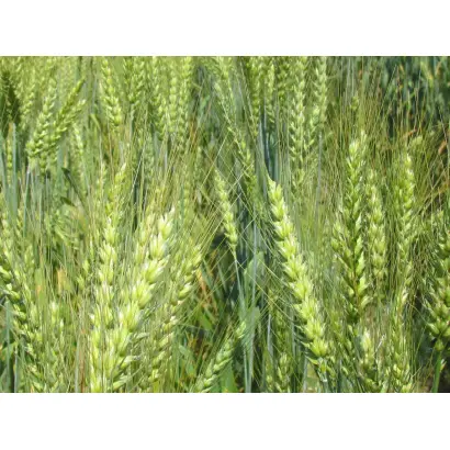 Полесская 90 / Поліська 90