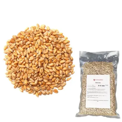 Prestance / Престанс