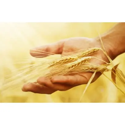 Сприятлива