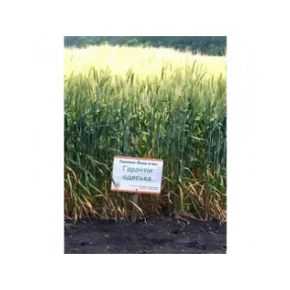 Гарантія одеська