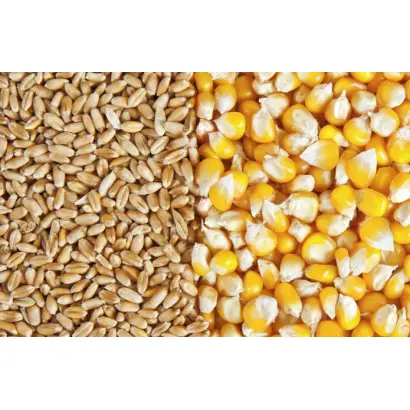 Донецкая 46 / Донецька 46