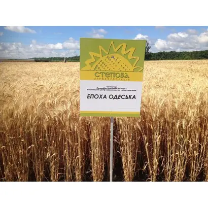 Епоха одеська