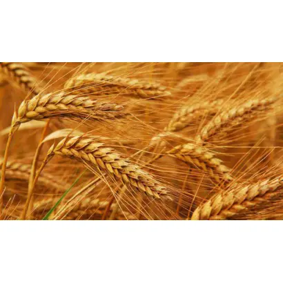 Заможність