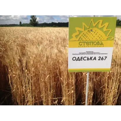 Одеська 267 (100/92) / Одеська 267