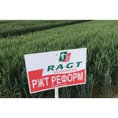 RGT Premiant / РЖТ Преміант