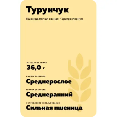 Турунчук