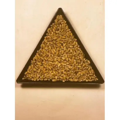 МІП Соломія