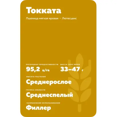 Toccata / Токата