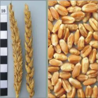 Харківська 30