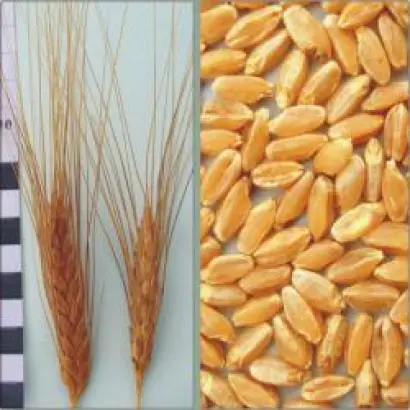 Харьковская 6 / Харківська 6