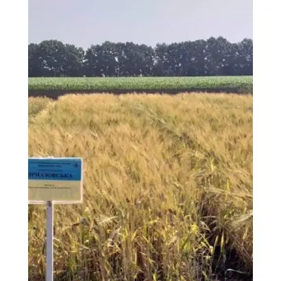 Приазовська