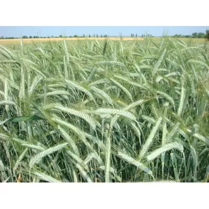 Харківська 32