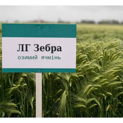 LG Zebra / ЛГ Зебра