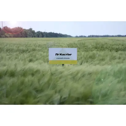 LG Casting / ЛГ Кастінг