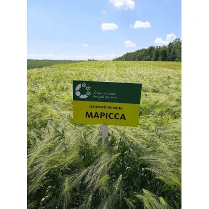 MARISSA / МАРІССА