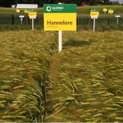 Hannelore / Ханнелоре