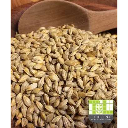 Existenz / Екзистенс