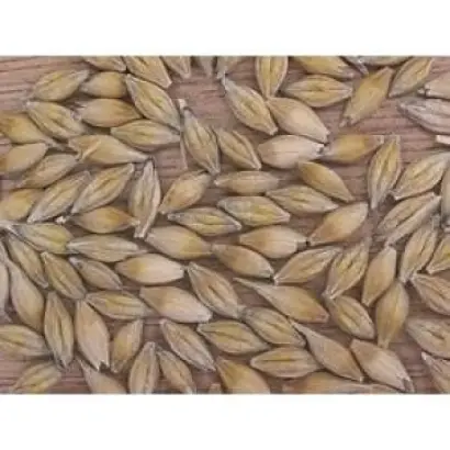 Росава (дв.) / Росава